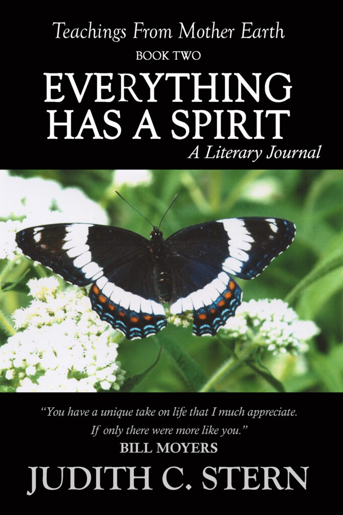 book two just frontcover